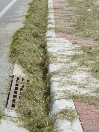 grass clippings